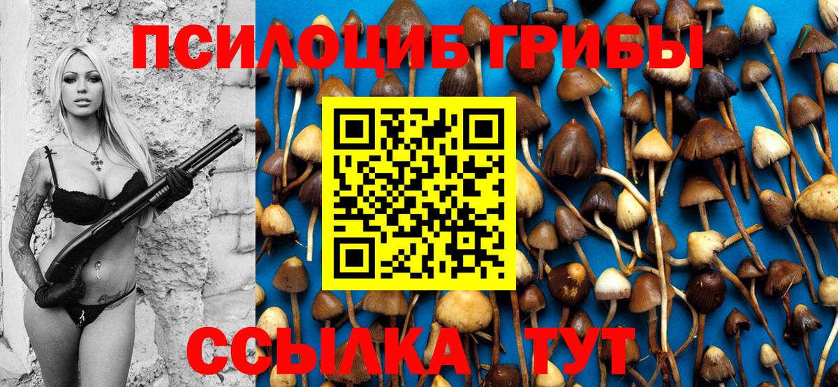 Полевской  Псилоцибиновые грибы MAGIC MUSHROOMS  Вход с VPN 
